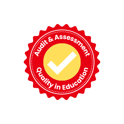 Audit Icon
